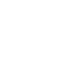 Icono de Twitter